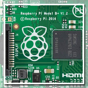 raspberry